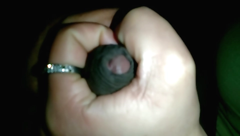 Indian wife has sex with a hairy man in the bedroom