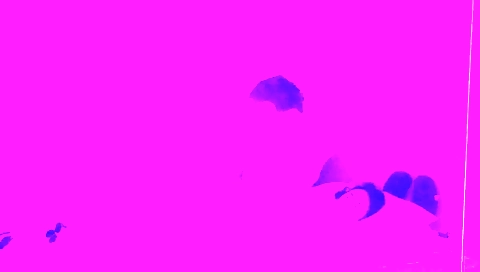 Busty brunette girl gets her vagina fucked with toys